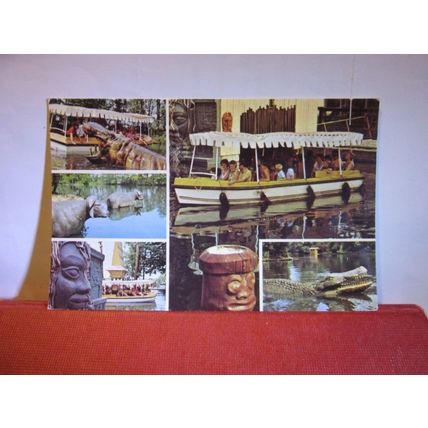DRAYTON MANOR PARK & ZOO, nr TAMWORTH, STAFFORDSHIRE unused postcard =