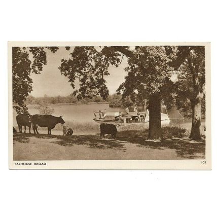 Salhouse Broad, Norfolk Broads, Postcard.