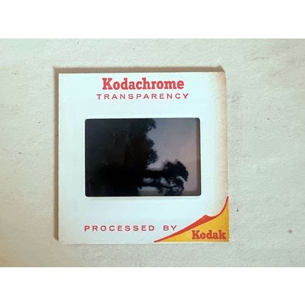 Vintage 60s Analogue Kodachrome Photo Slide, American Scenery Landscape Garden
