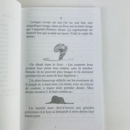 Le Petit Prince (French Edition) Paperback Large Print Antoine de Saint-Exupéry