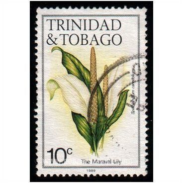 Trinidad & Tobago 1989 Flowers 10c Maraval Lily Used SG 637B postage stamp