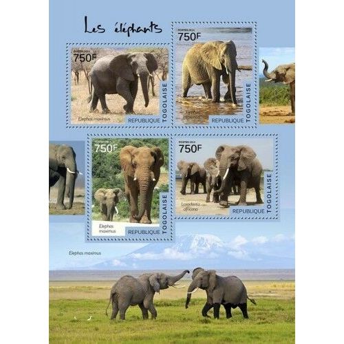 TOGO 2014 SHEET MNH ELEFANTES ELEPHANTS ELEFANTEN ELEFANTI WILDLIFE 5