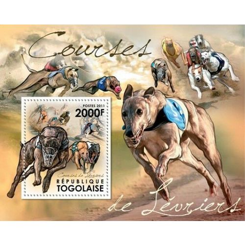 TOGO 2011 SHEET MNH GREYHOUND RACING CARRERAS DE GALGOS DOGS PERROS CHIENS 9A