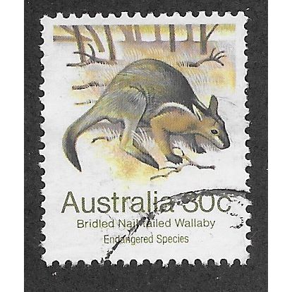 AUS 1981 30c 'WILDLIFE- WALLABY' FINE USED (EBID60-029)
