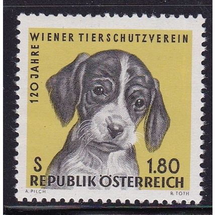 AUSTRIA 1966 120th ANNIV ANIMAL PROTECTION SOCIETY 1.80S PUPPY MNH SG1470