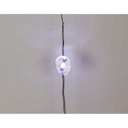 Moon Lights LED Copper Wire 20 White Skull Lights