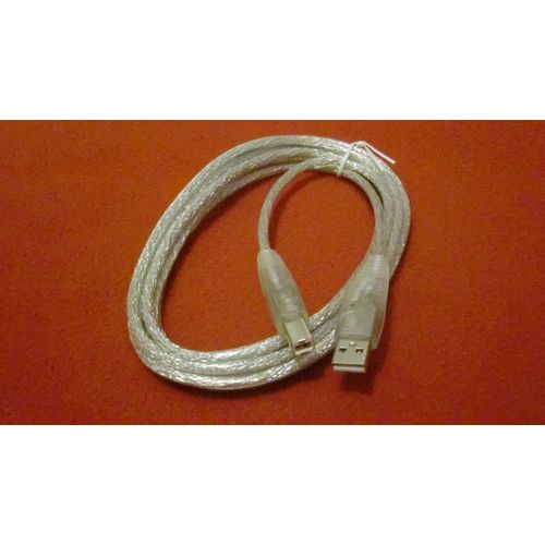 (2 Pack) StarTech USB2HAB10F 10 FT USB 2.0 Cable - USB A Male to USB B Male