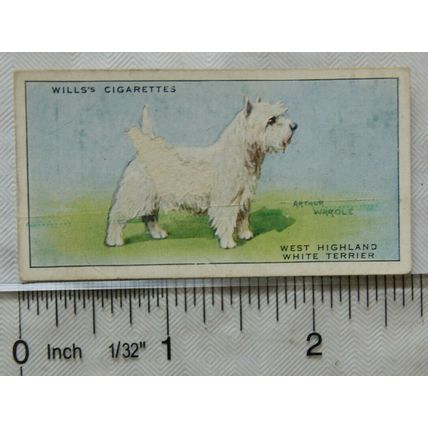 1937 Wills Dogs No. 48 West Highland White Terrier