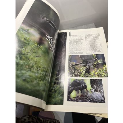 National Geographic Magazine July 1994 Recycling - Vintage Collectable