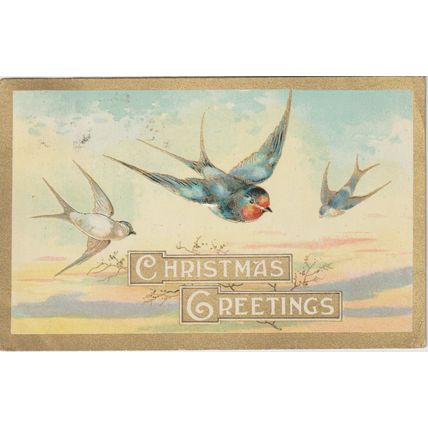 Artist Drawn Three Swallows Bird Christmas Greetings Postcard (QAN0059)