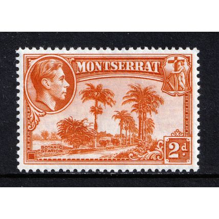 Montserrat KGVI 1938-48 2d Orange Botanic Station P13 SG104 Mint MH