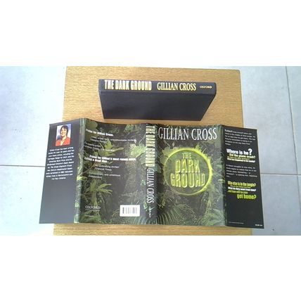 The Dark Ground. Gillian Cross (Hardback) 2003