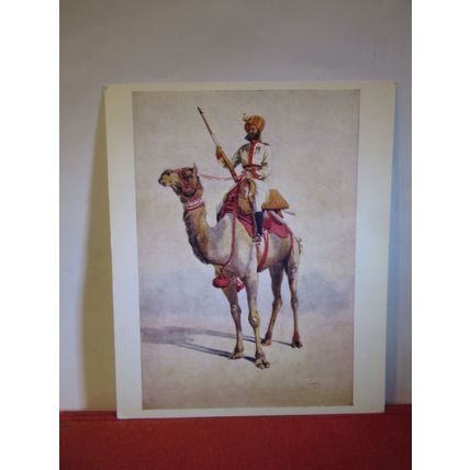 RATORE RAJPUT, BIKANER GANGA RISALA, A C Lovett postcard National Army Museum =