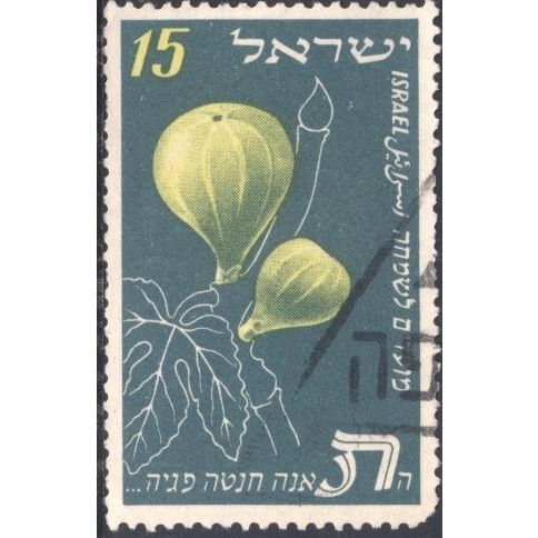 Israel 1952 - SG69 - 15p yellow/green - Figs - used