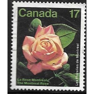 1981 SG 1019 - fine used (o)