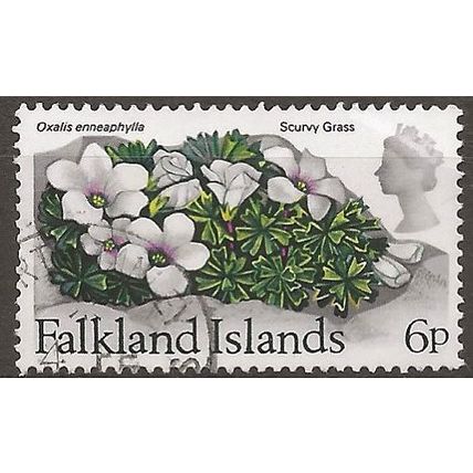 Falkland Islands 1972 SG284 6p Flowers Fine Used.