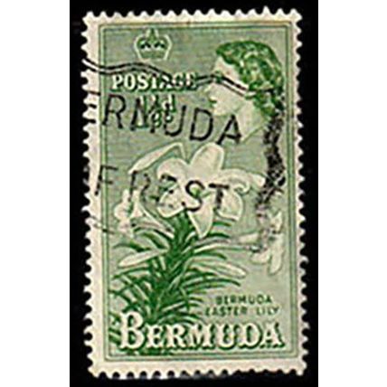 Bermuda 1953 Queen Elizabeth II 1 1/2d Used Stamp QE II Flower .