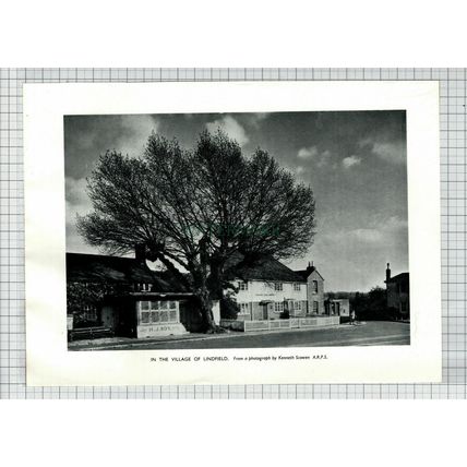 (6620) Lindfield Sussex - 1955 Cutting