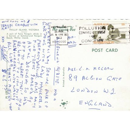 Fairy Penguin Chicks Postcard posted 1973 VGC