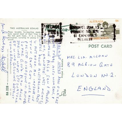 Koala Bears Postcard posted 1973 VGC