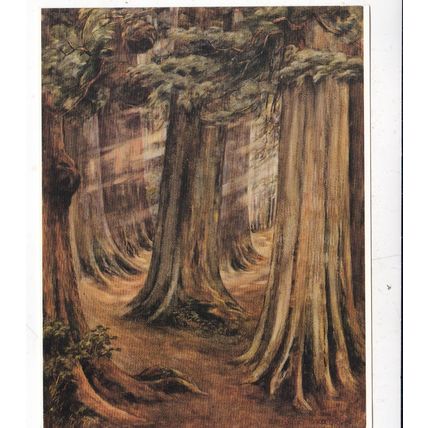Emily Carr Wood Interior Postcard unused VGC