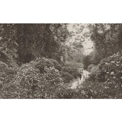Gale & Polden Military Publishers Kew Gardens London Rare Old Postcard
