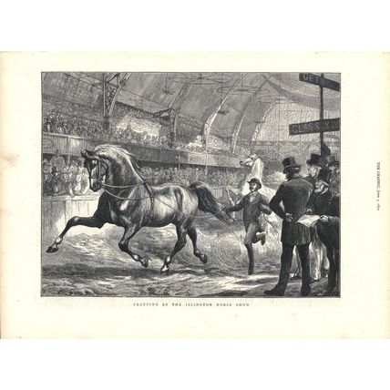TROTTING AT THE ISLINGTON HORSE SHOW 1872 Basil Bradley VICTORIAN ENGRAVING