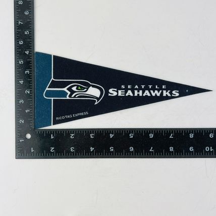 Seattle Seahawks NFL Football Team Mini Banner Pennant