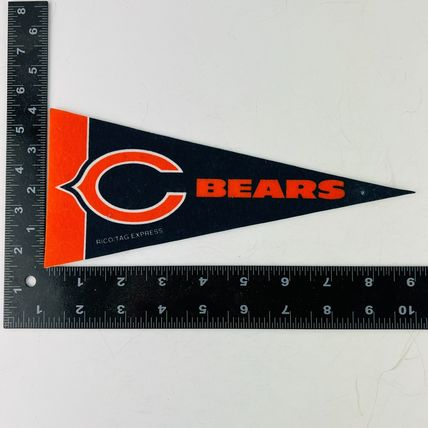 Chicago Bears NFL Football Team Mini Pennant Banner