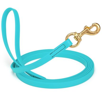 Dog Pet Leash Sky Blue w/ Brass Hardware W 5/8" - L20'