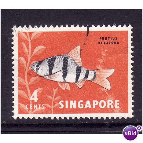 SINGAPORE 1962 4c TIGER BARB FISH SG 64 FINE USED