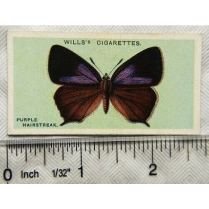 1927 Wills British Butterflies No. 31 Purple Hairstreak