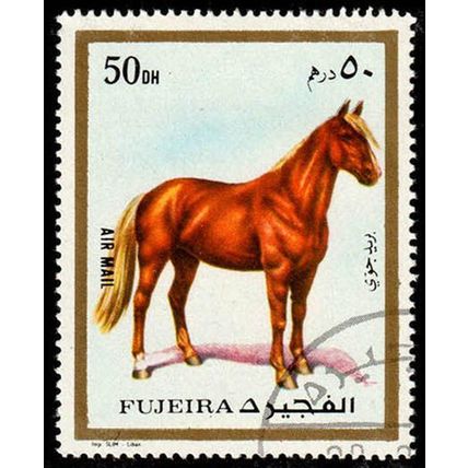 Fujeira 1972 Animal Horse Airmail 50D Used Stamp