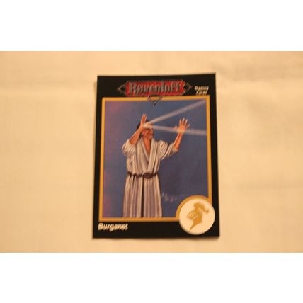 Burganet 1992 TSR 2nd Edition Dungeons & Dragons NO.576