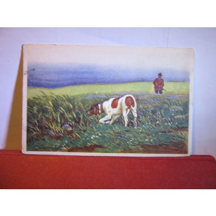 DUCK SHOOTING WITH A DOG, IN ITALY unused antique postcard =