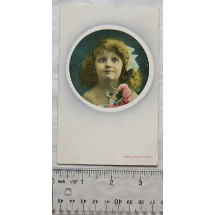 vintage Greetings postcard - Budding Beauty