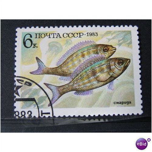 russia 1983 SG 5348 USED