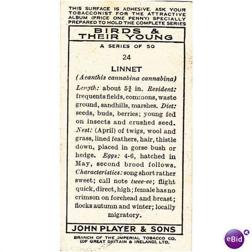 Players Birds & Their Young Card No. 24 Linnet