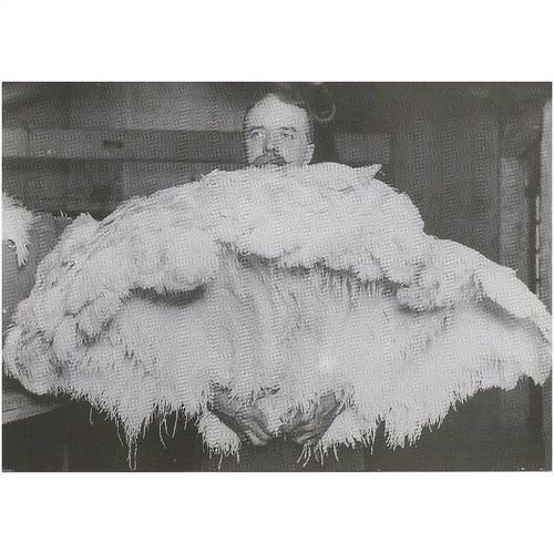 MD20: Cutler Street Warehouses: Ostrich Feathers.