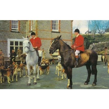 Leaving For The Hunt Fox Hunting 1970s Postcard