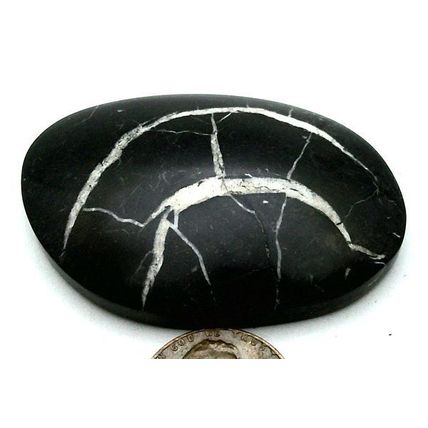 Black Septarian Freeform Gemstone Cabochon 468