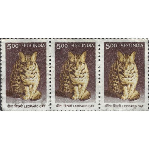 INDIA, CAT, Leopard cat, brown 2000, 5Rps [Trio]