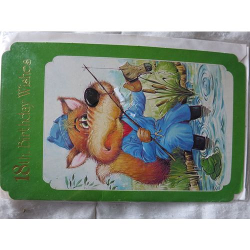 18th Birthday Wishes Fox Fishing Standard Card A4 Portrait