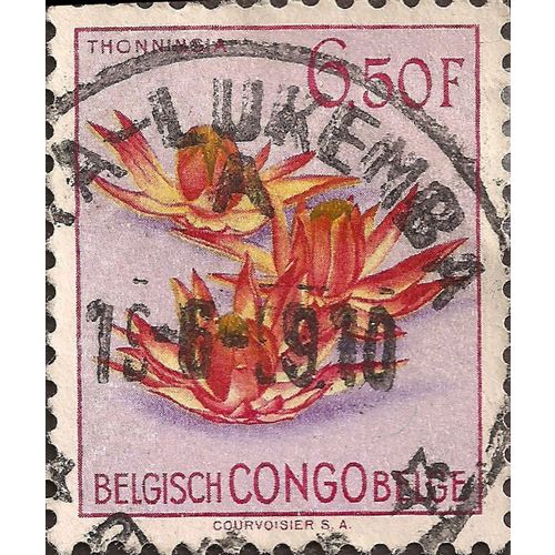 BELGIAN CONGO, FLOWER, Thonninsia, light violet 1952, 6.5 Fr