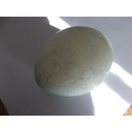 EGG COLLECTAGLE DECORATIVE LARGE SLIGHT DAMAGE (13/01) # #