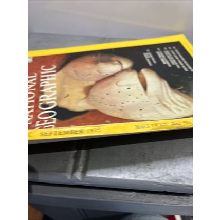 National Geographic Magazine September 1975 Red Sea Reefs - Vintage Collectable