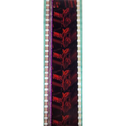 Pk DAU - B - MIX - B 044r . - 1 STRIP OF 5 - 35MM FILM CELLS. ( )