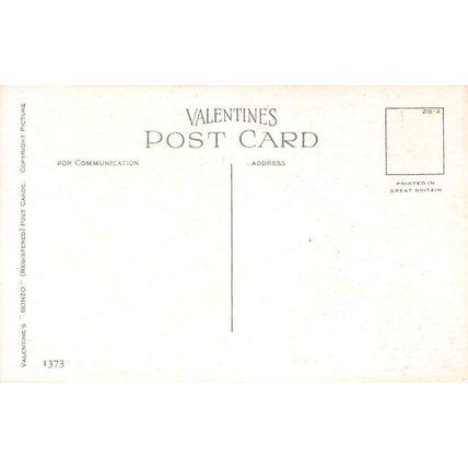 G E Studdy : We're going the pace here : "Bonzo" postcard 1373