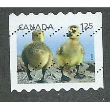 CAN 2011 $1.25 (S/A) 'BABY WILDLIFE' FINE USED (EBID51-070)