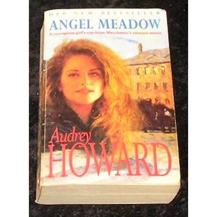 Angel Meadow by Audrey Howard (Paperback, 2000)